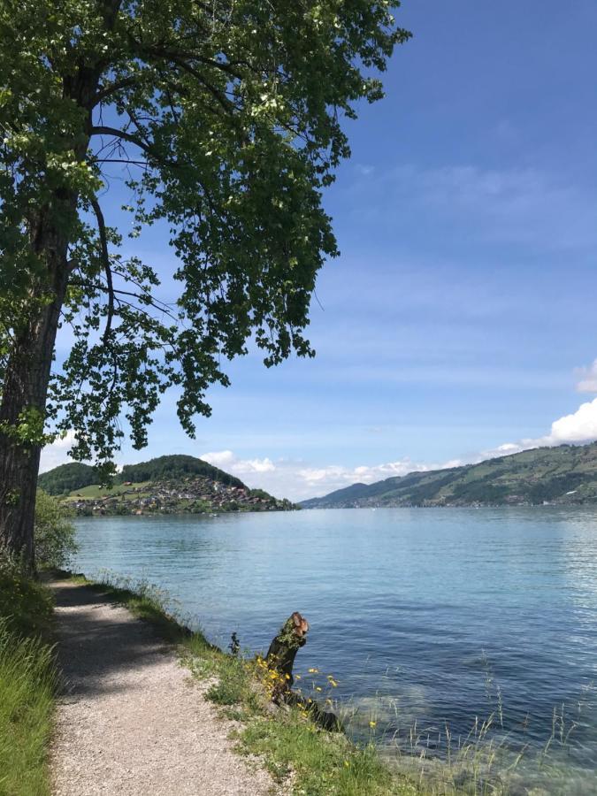 Moderne Unterkunft Mit Panoramablick Auf Thunersee Krattigen Εξωτερικό φωτογραφία